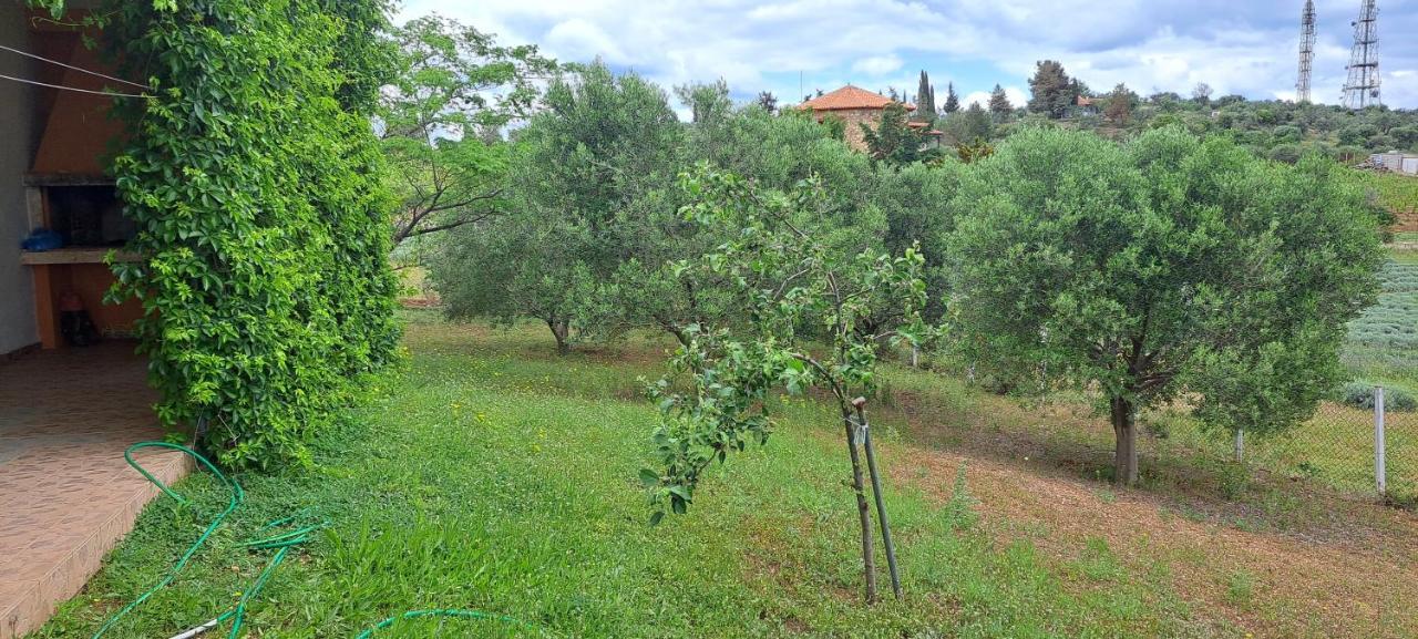 Hill View 4 Βίλα Αλεξανδρούπολη Εξωτερικό φωτογραφία