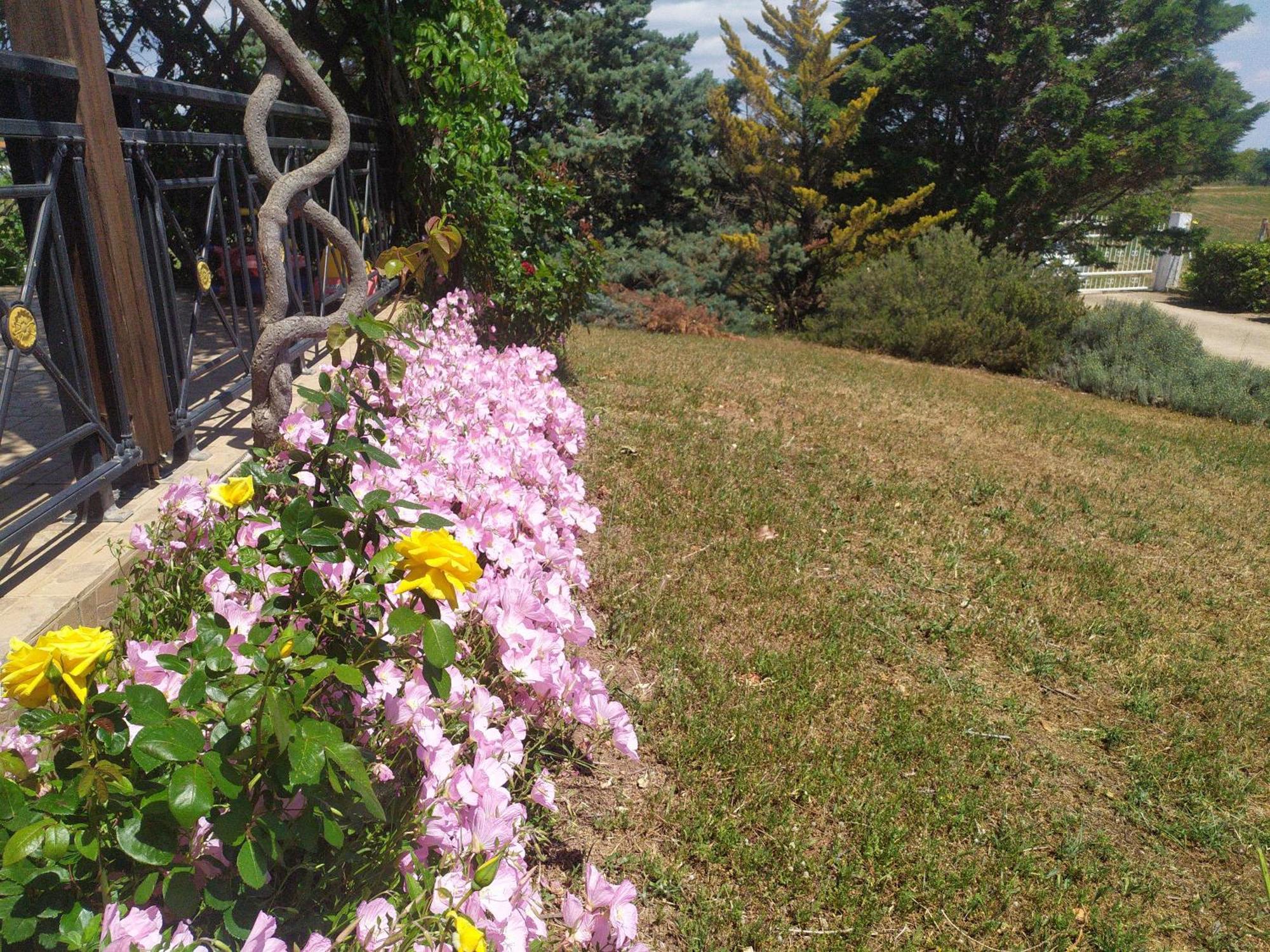 Hill View 4 Βίλα Αλεξανδρούπολη Εξωτερικό φωτογραφία